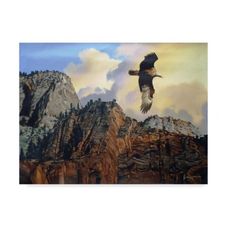 D. Rusty Rust 'Golden Eagle' Canvas Art,24x32